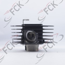 CILINDRO AX100 kit Gparts Uo