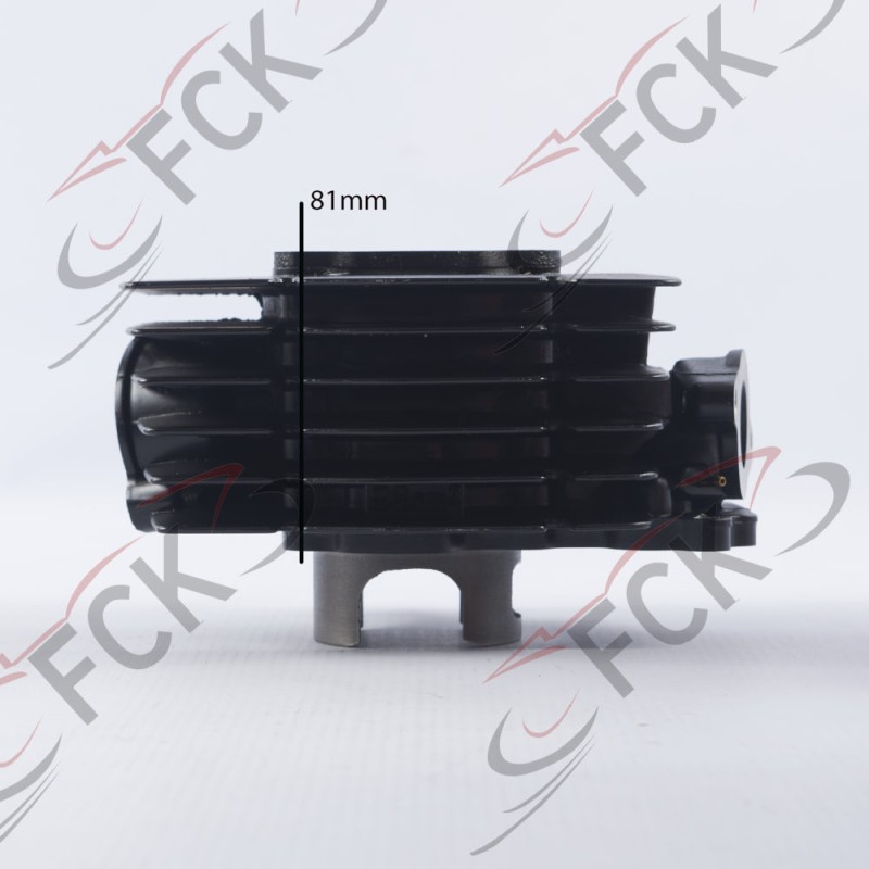 CILINDRO AX100 kit Oumurs UI