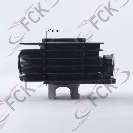 CILINDRO AX100 kit Oumurs UI