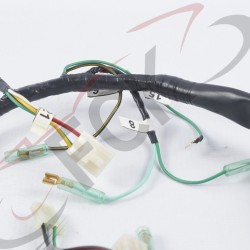 ARNES BROS 125 Indusel