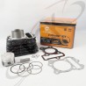 CILINDRO DISCOVER 100 kit 4 valvulas MI