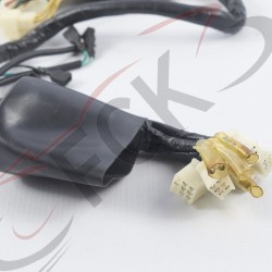 ARNES JH150GY-2 orig tipo planta electrica MI