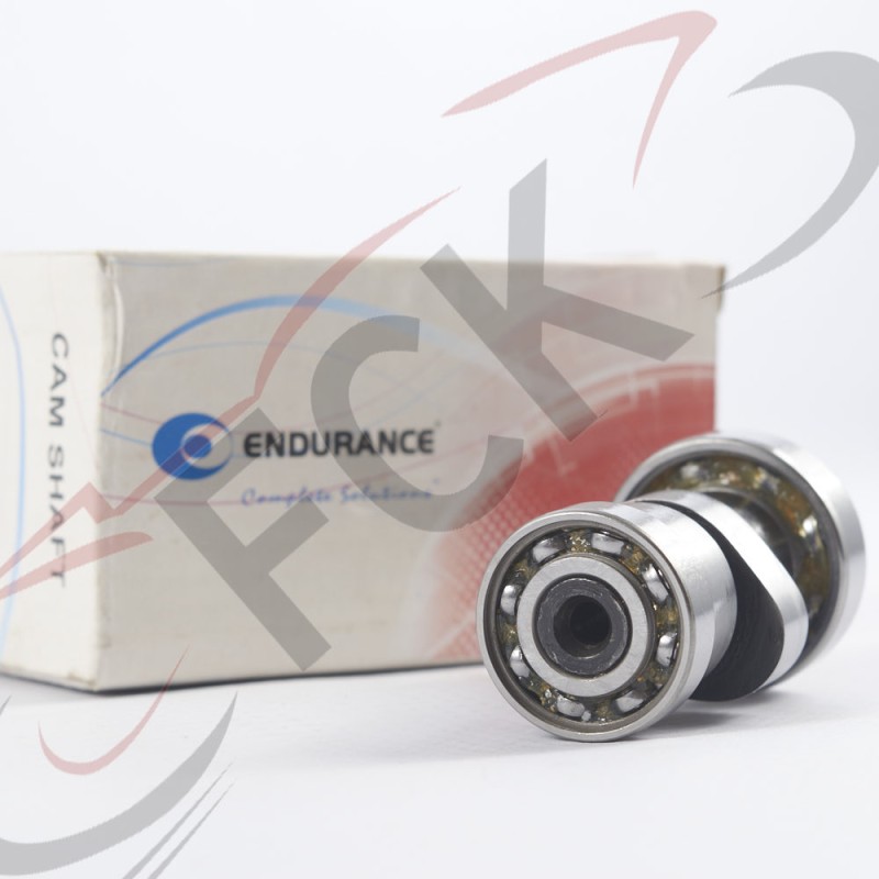 EJE Levas Pulsar 200 NS Endurance Mi