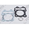 EMPAQUE CT100 Platina medio kit VARROC MI