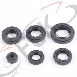 KIT RETEN XL185 ZS200 200 6.5-14.5-7/12-22-5/15-25-6/14-28-7/16-28-7/20-347  UO
