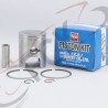 PISTON TS/ER 100 a 1.00 japan IKT