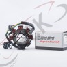 PLANTA 7b CG125 Zonko 3 ag UI