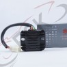 REGULADOR 5L SK150 Gparts Espiga Hembra UI