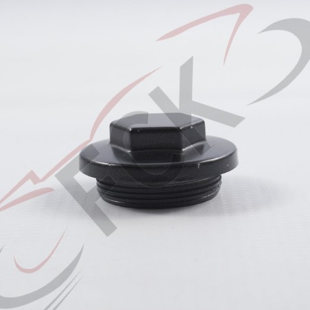 TAPON Insp Valv drena aceite 250Z Mi