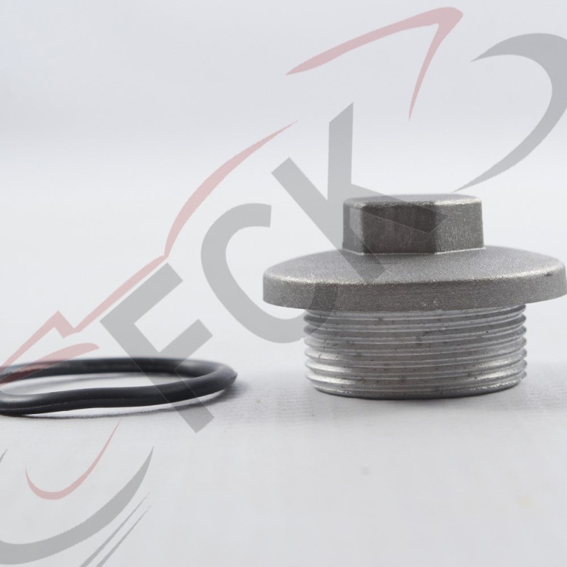 TAPON V insp d/aceite GY6 Uo