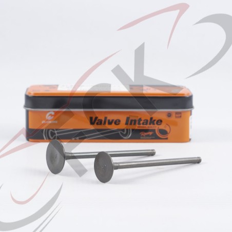 VALVULA GN 125 c/pec par Oumurs UI