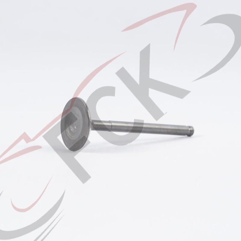 VALVULA GS/WS/DS150 Esc ITK Orig Ui