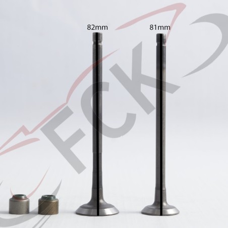 VALVULA PULSAR 135 kit2 VARROC MI
