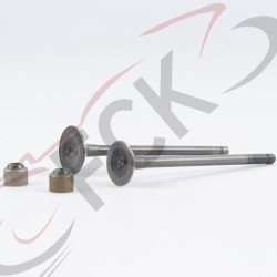 VALVULA PULSAR 135 kit2 VARROC MI