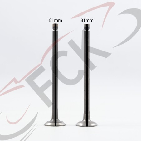 VALVULA PULSAR 135 kit4 UI