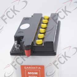 BATERIA Pulsar 180 12N9-4B-1 MIGM 13.5*13*7.4 +- UO