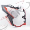 CARENAJE 250Z Silvin ITK Orig Ui