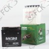 BATERIA Pulsar 180 YTX9A-BA MIGM 13*13*7. UO