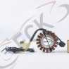 PLANTA XR250 gparts Mi