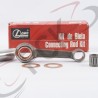 BIELA TS 100 Kit.japan