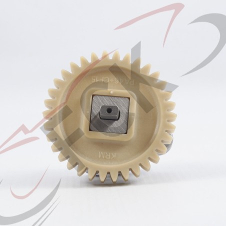 BOMBA Aceite XR150L Gparts UI